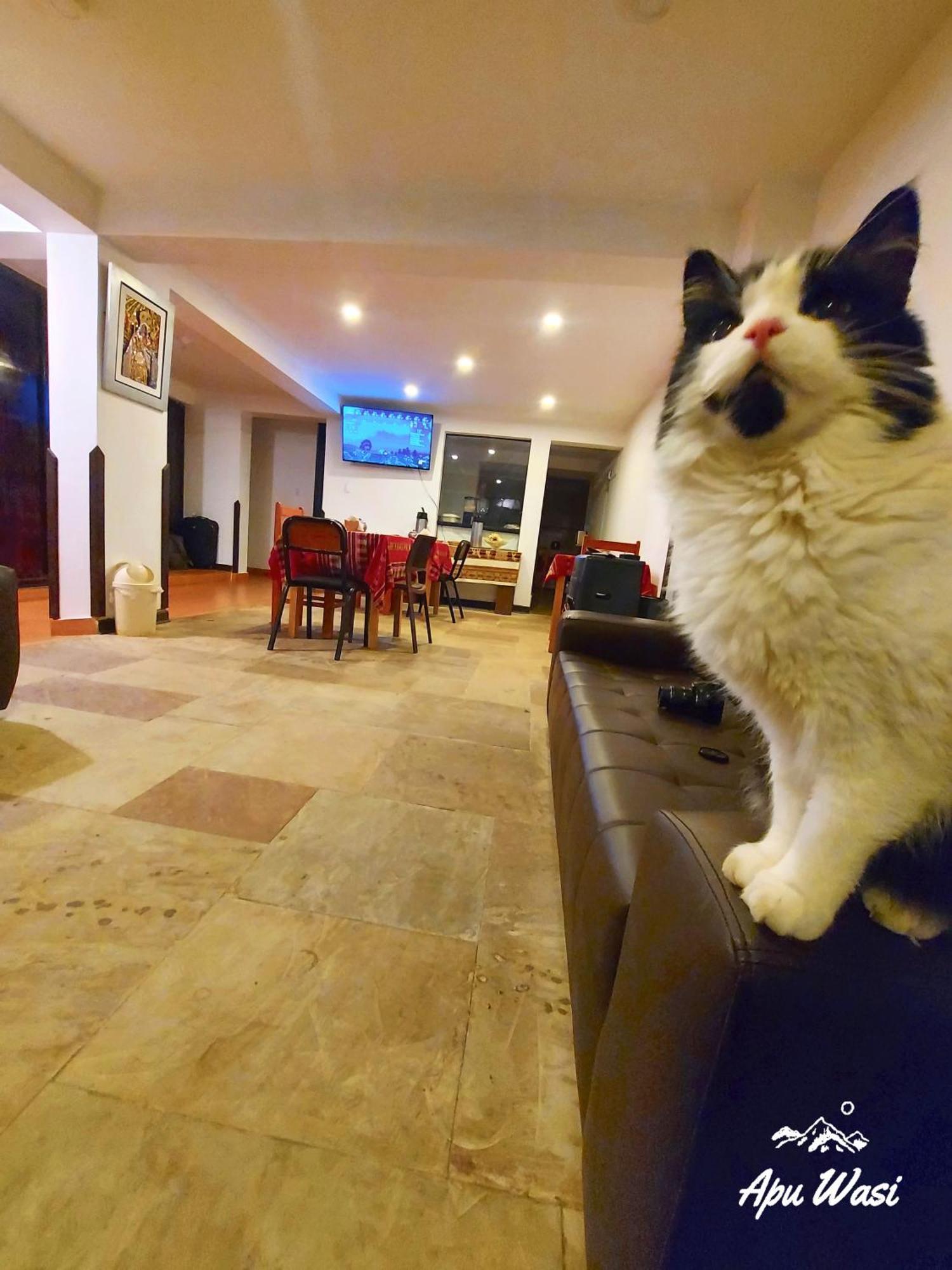Hostel Apu Wasi Cuzco Zewnętrze zdjęcie